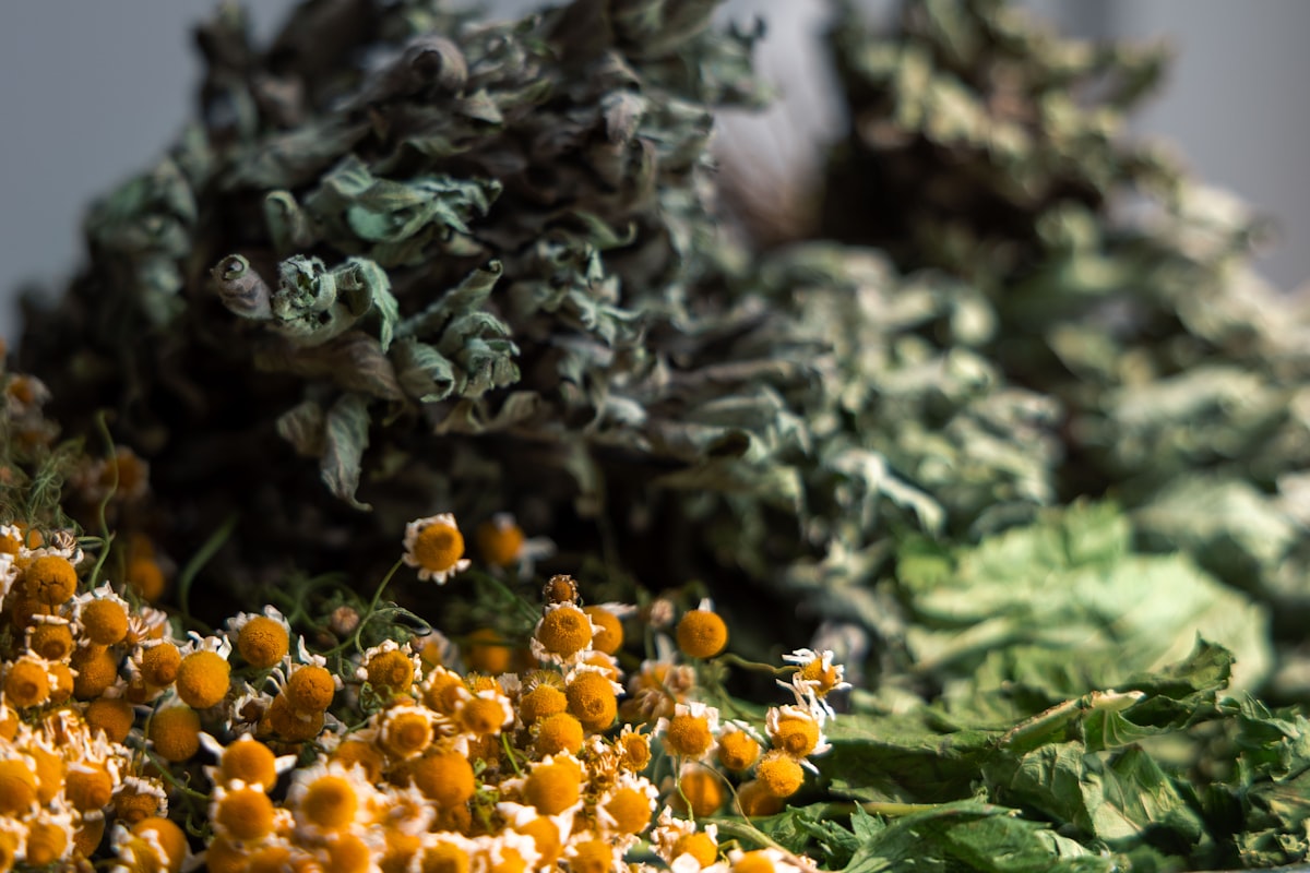 Scientific research into protective food compounds